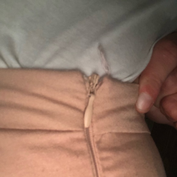 Pink Dress Shorts - Picture 5 of 5